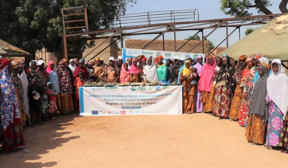 Projet collaboratif PAM-ICRISAT