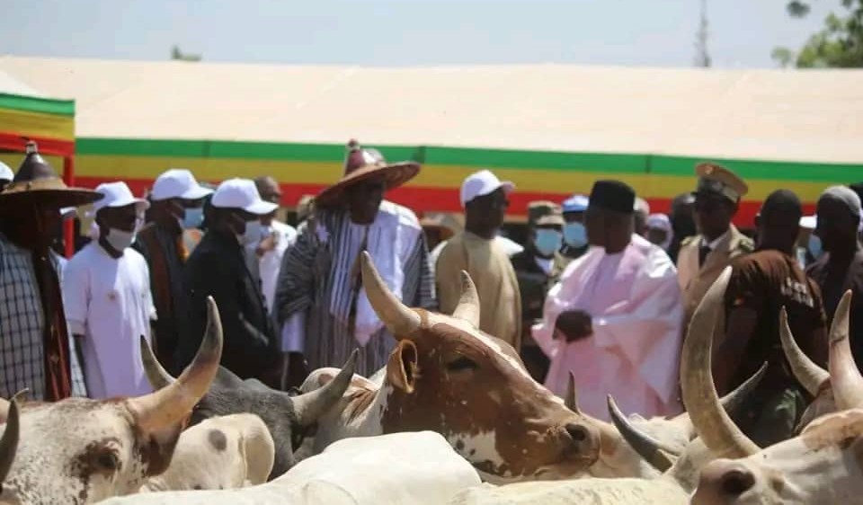 vente promotionnelle de boeux