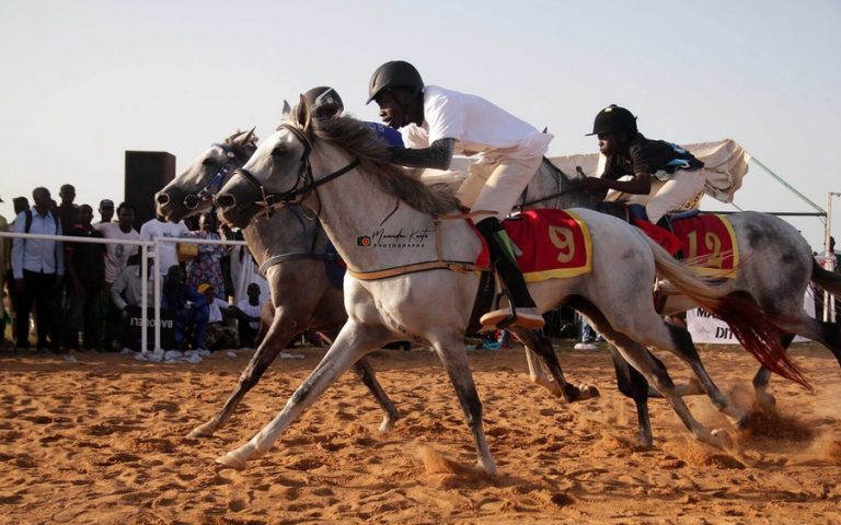 SPORT-EQUESTRE-2