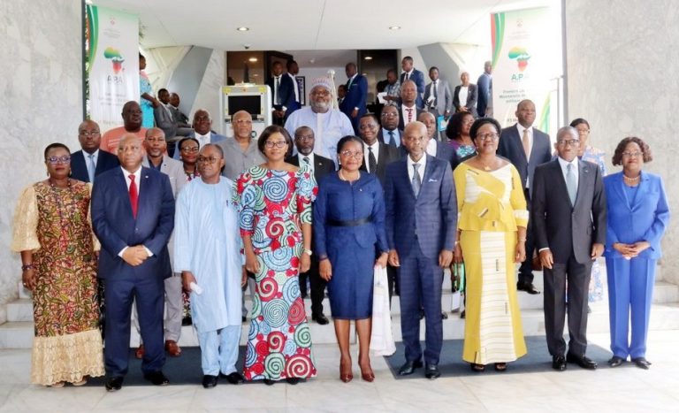 Alliance Politique Africaine (APA)