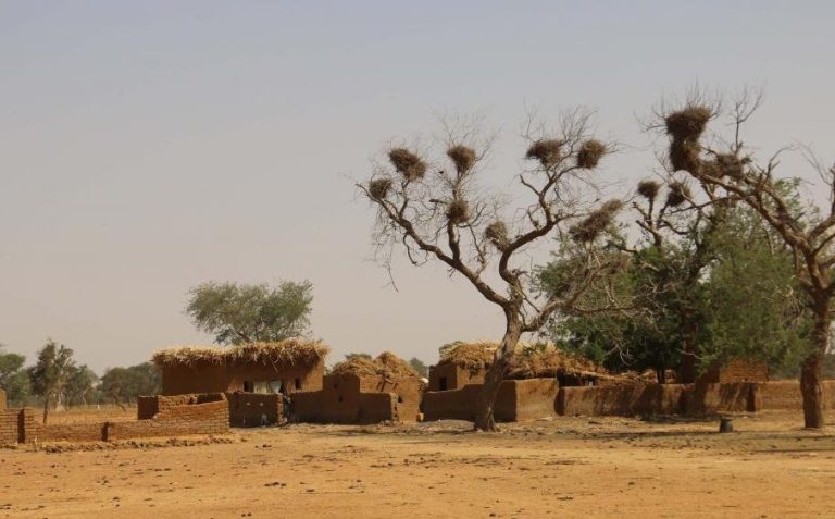 Diafarabé Mali