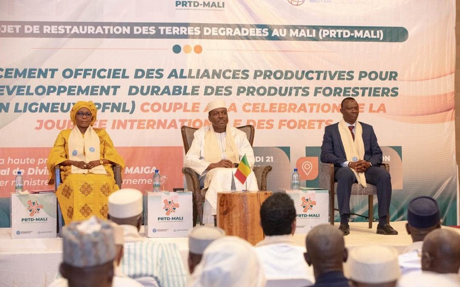 Alliances productives des produits forestiers