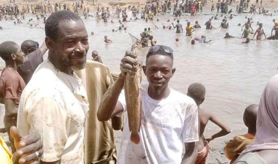 Pêche collective du Bellal de Bandiagara