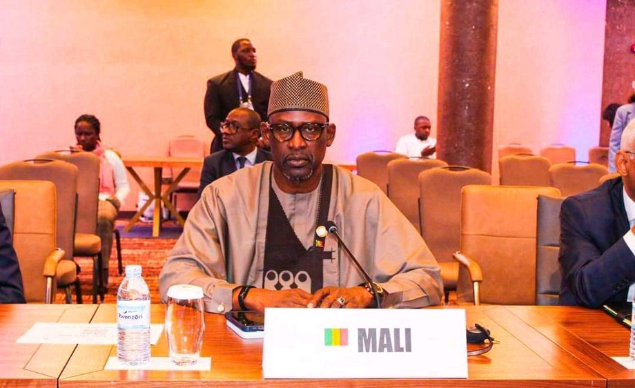 Abdoulaye Diop Conférence ministérielle à mi-parcours du NAM