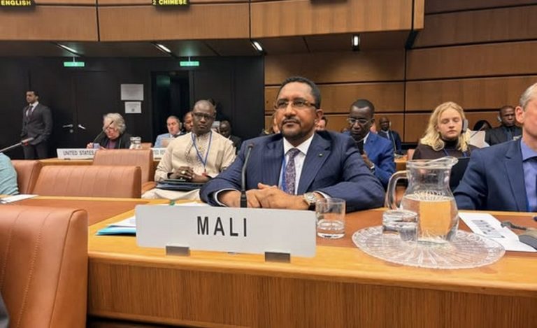 Mossa Ag Attaher à l'ONU