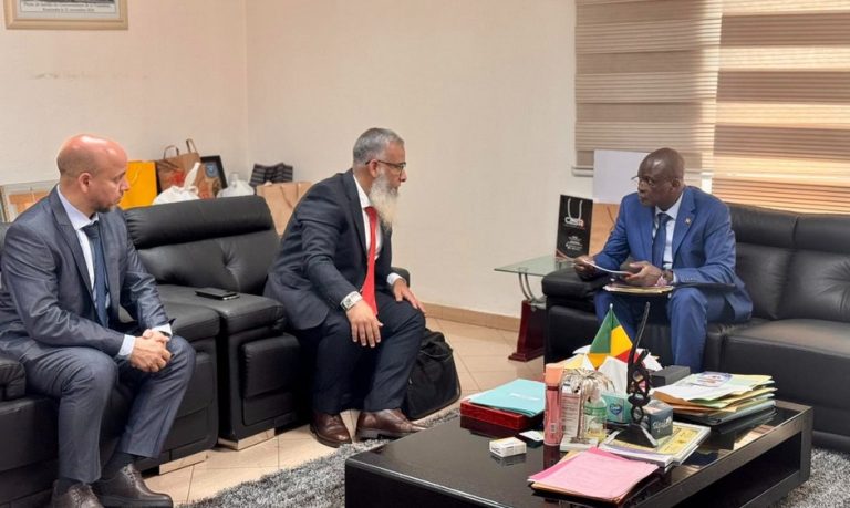 Valorisation du coton malien Maroc et Mali