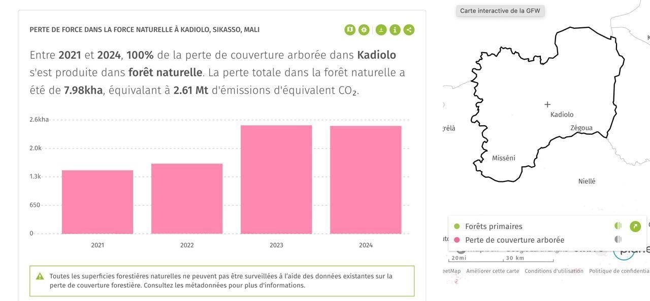 Cartographie illustrative de la perte des forêts à Kadiolo (Source Global Forest Watch)