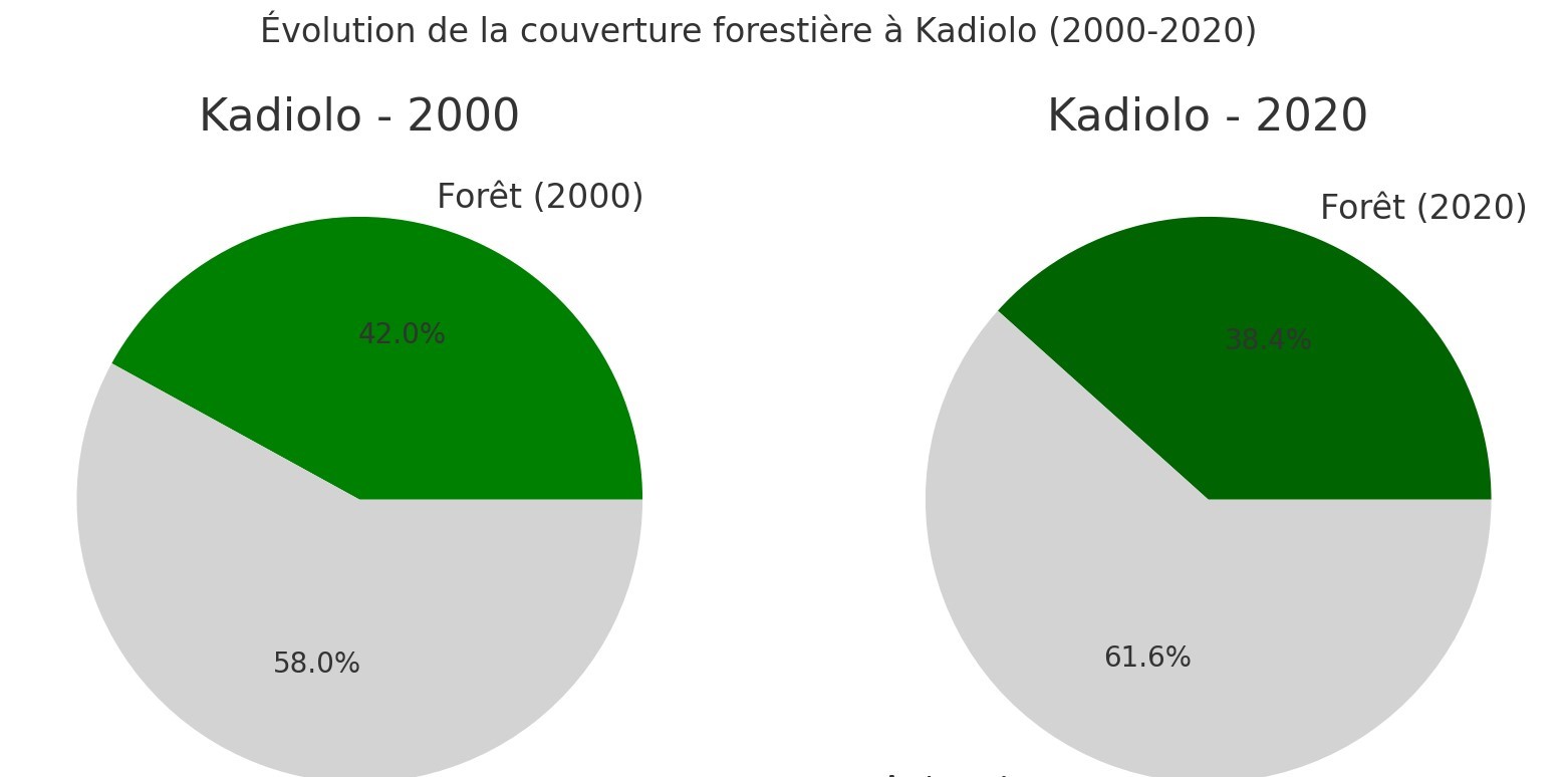 Visualisation générée par l’IA à partir des données collectées