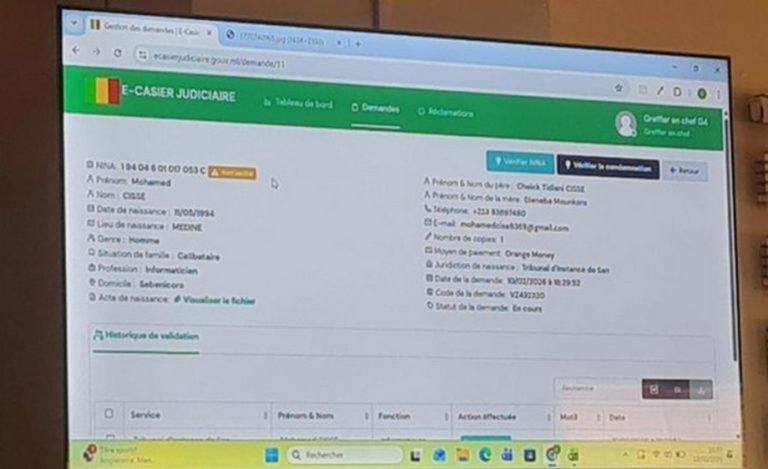 E-casier judiciaire et nationalité