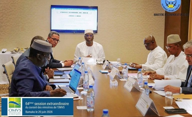 OMVS le projet de navigation Saint-Louis–Ambedidi