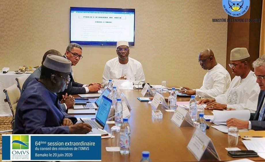 OMVS le projet de navigation Saint-Louis–Ambedidi