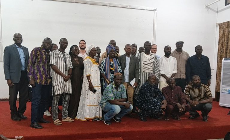 Cinéma malien au chevet de sa crise
