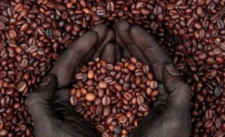 café africain