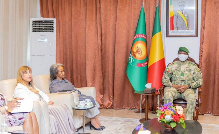 Assimi Goïta reçoit l’Envoyée de l’ONU
