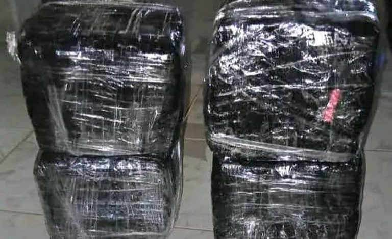 comprimés Tramadol saisis