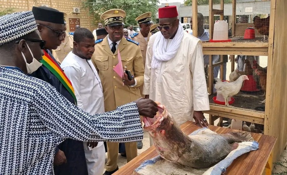 ministre Youba BAH campagne agricole à Tombouctou